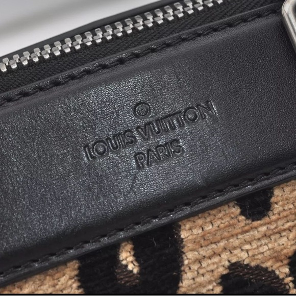 LV Limited Edition Chenille Leopard Baby/Mini Hand Boston Bag - Picture 12 of 15